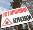 Осторожно клещи!